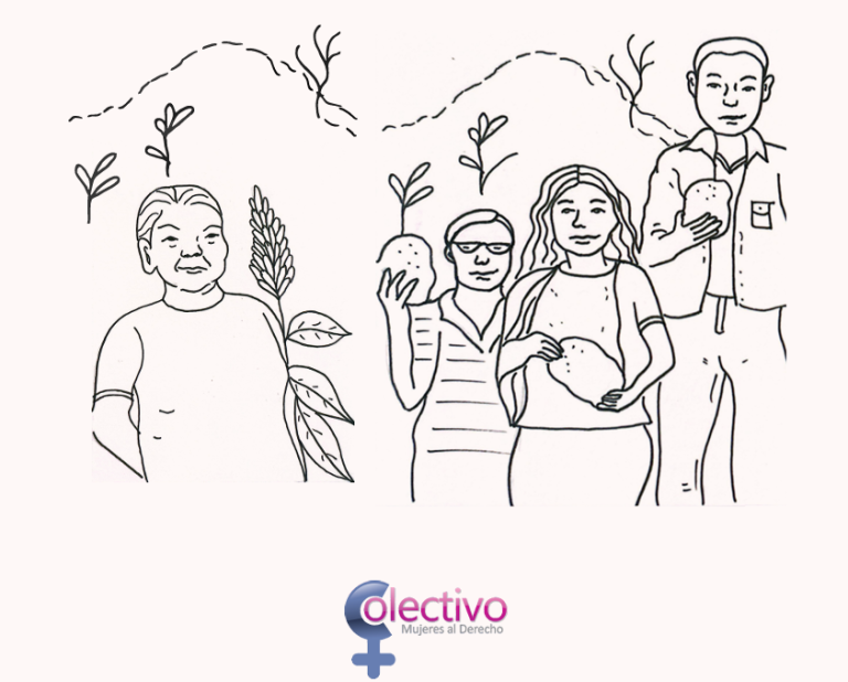 Portada de Práctica Feminista Pluricultural del Derecho
