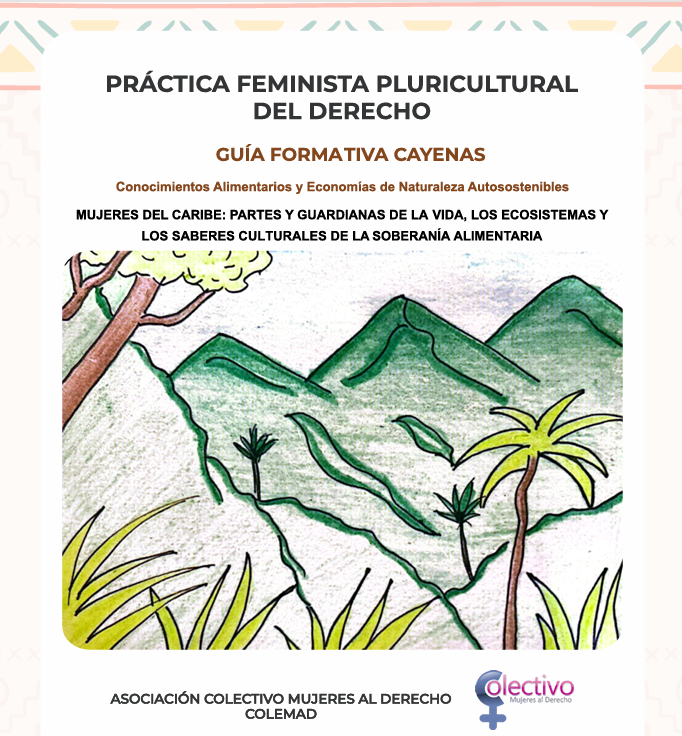 Práctica Feminista Pluricultural del Derecho – Guía Formativa Cayenas
