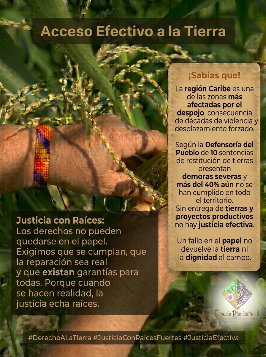 Publicación de COLEMAD del 20 de octubre