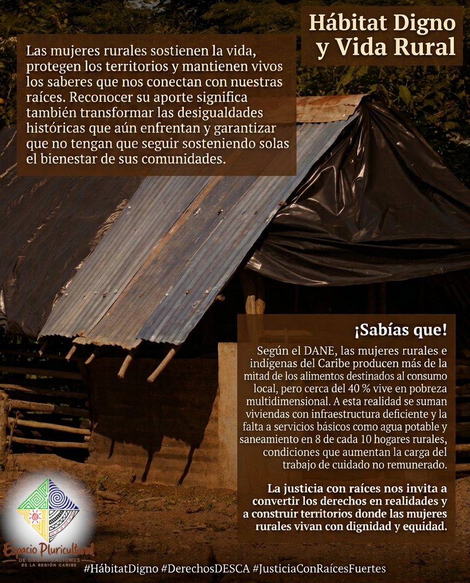 Publicación de COLEMAD del 25 de octubre