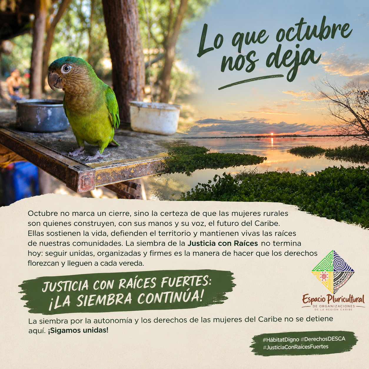Publicación de COLEMAD del 29 de octubre